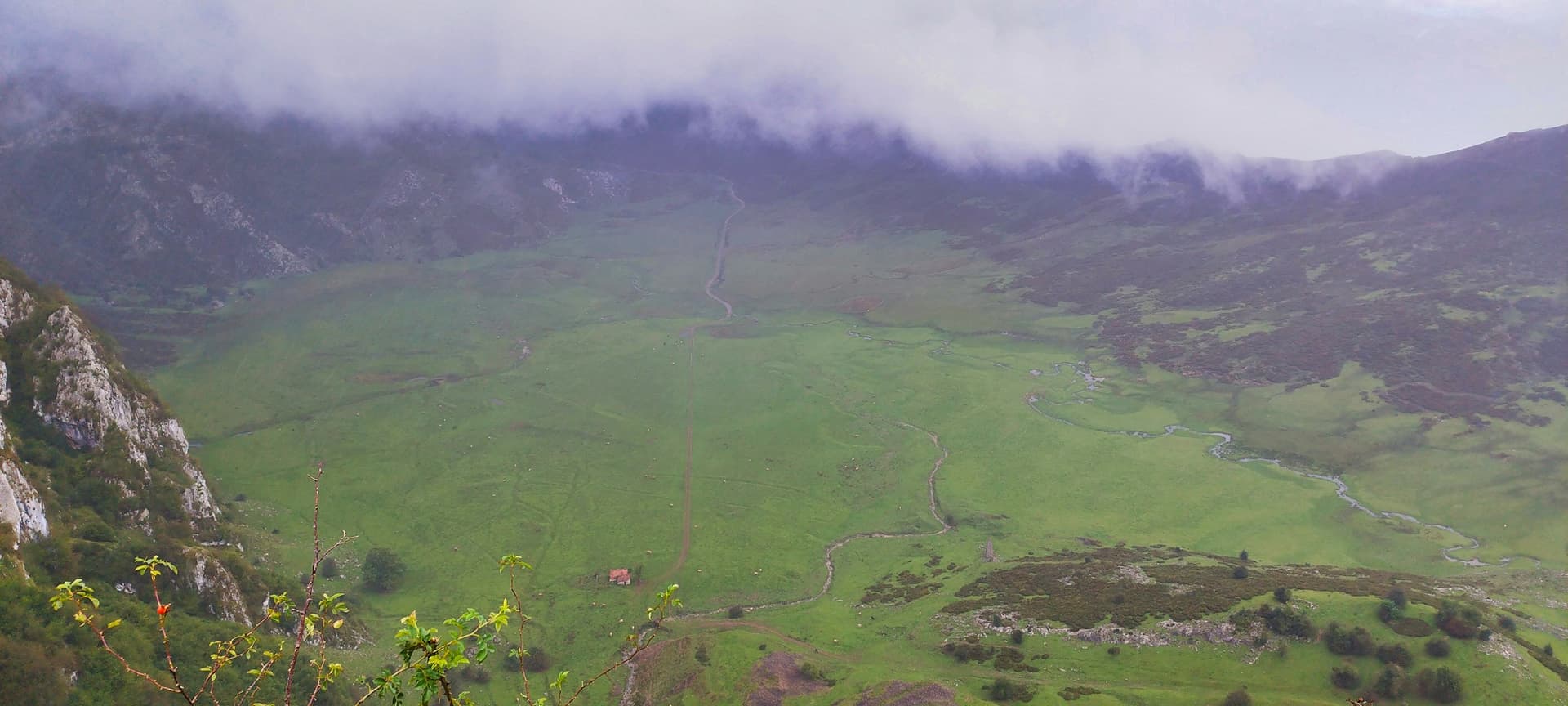 Valle verde entre montañas cubiertas de niebla
