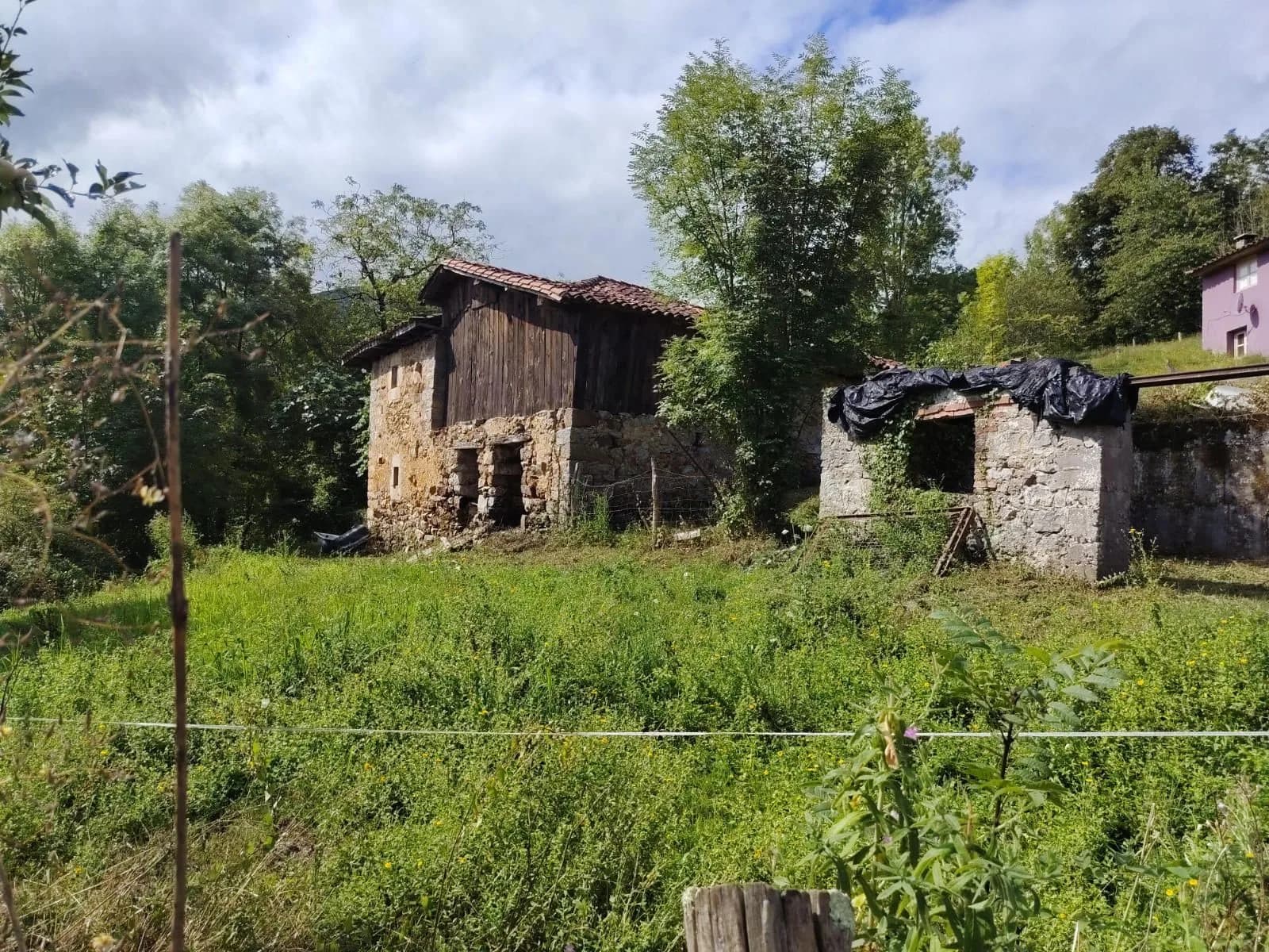 Parcela en Cangas de Onís, imagen 19