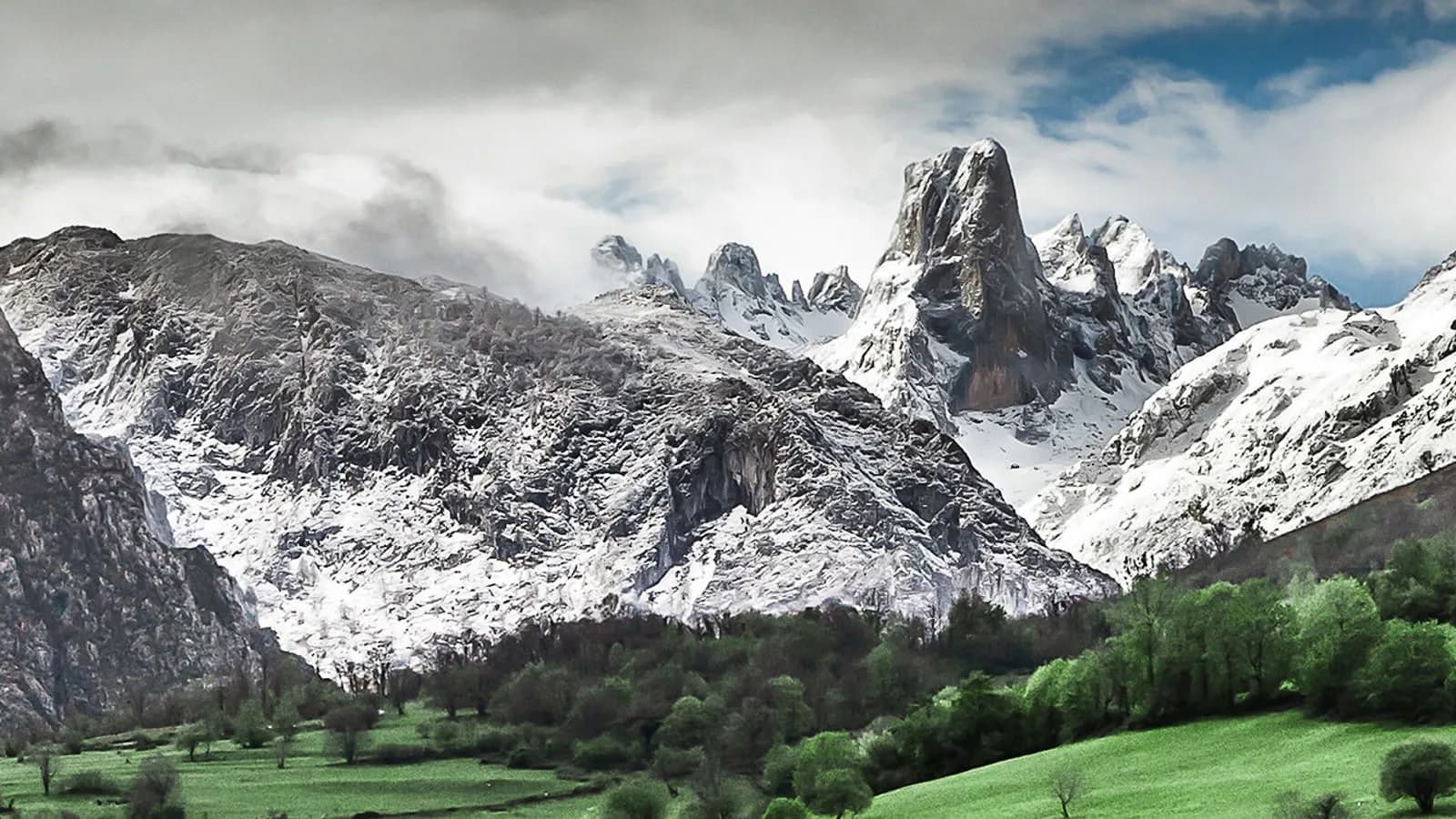Parcela en Cangas de Onís, imagen 5