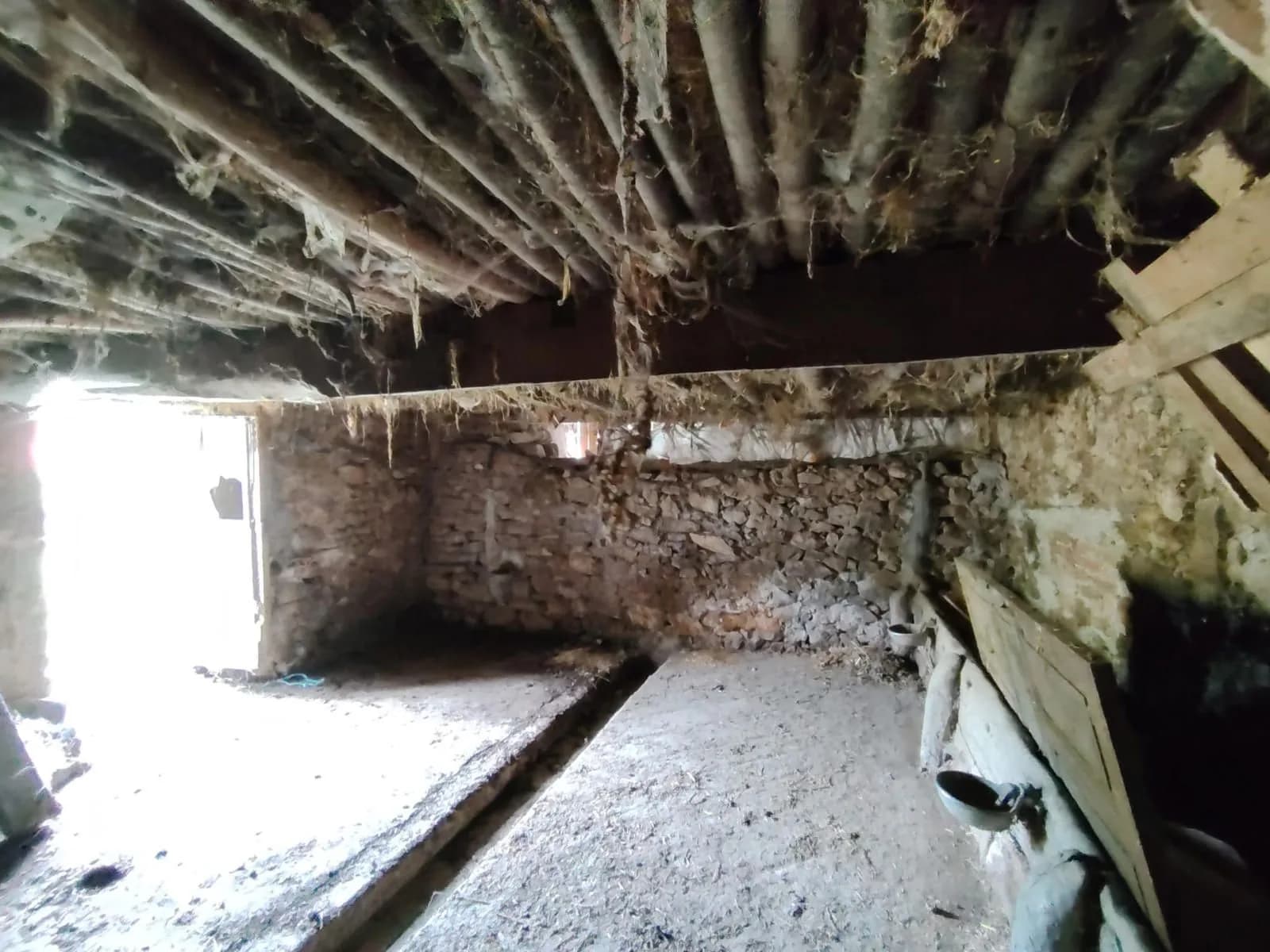 Parcela en Cangas de Onís, imagen 22