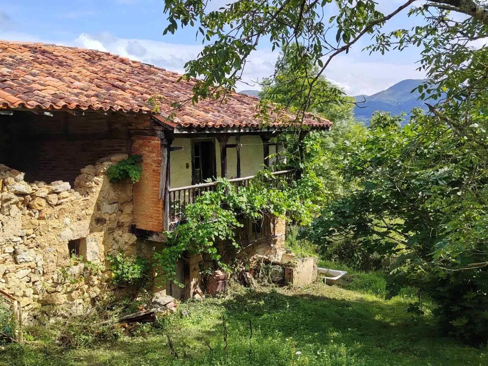 Parcela en Cangas de Onís, imagen 16