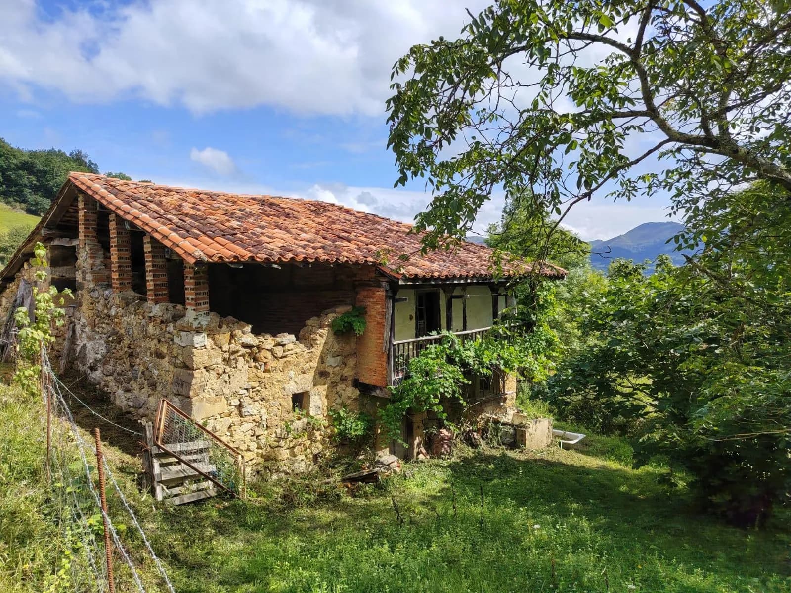 Parcela en Cangas de Onís, imagen 17