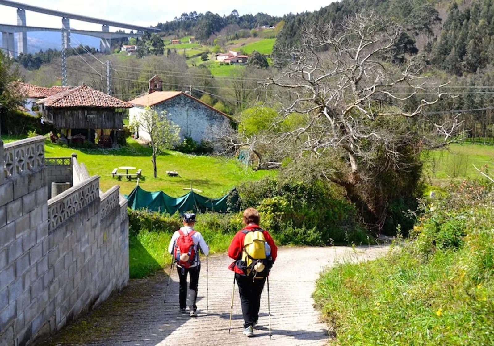 Finca La Campa en Villademar - Cudillero, imagen 6